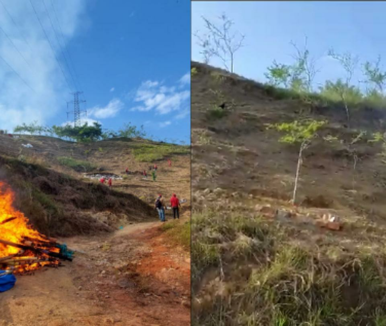 Video: 270 familias dicen que invaden cerro porque no tienen dinero para arriendo