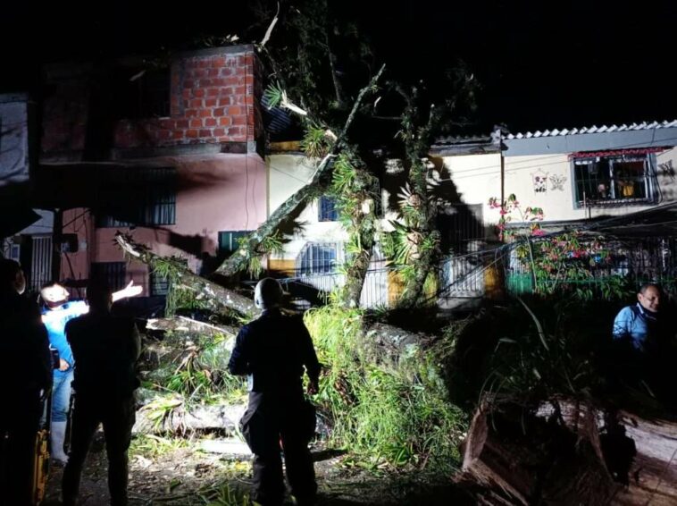 Organismos de socorro atendieron la caída de un árbol en el barrio La Esneda.