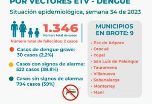 Ya son 30 los casos de dengue grave, reportados en Casanare 