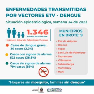 Ya son 30 los casos de dengue grave, reportados en Casanare 