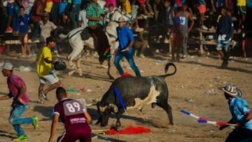 ZAITH ADECHINE | “La ciudadanía tendrá la última palabra sobre corridas de toros y corralejas”: