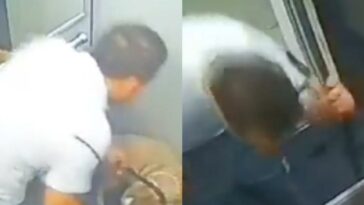 ¡Indignante! Hombre golpeó a un perro dentro de un ascensor en Itagüí