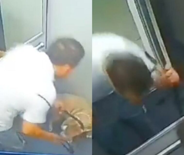 ¡Indignante! Hombre golpeó a un perro dentro de un ascensor en Itagüí