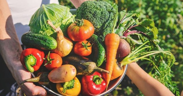 ¡Nuevos mercados! El Quindío buscará llegar a Alemania con productos orgánicos y de comercio