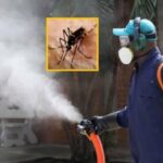 De acuerdo con los datos oficiales lastimosamente cuatro personas en Nariño, han fallecido producto del dengue