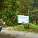 Arrancó el asfaltado de la vía Río Verde – Pijao para mejorar la movilidad