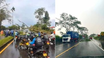 Caída de árboles y pérdidas de cubierta, las principales afectaciones por las lluvias de este martes