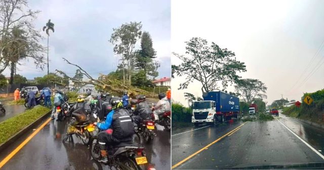 Caída de árboles y pérdidas de cubierta, las principales afectaciones por las lluvias de este martes