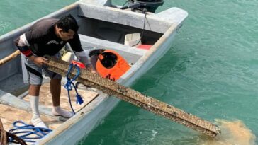 Cerca de 700 kilos de residuos sólidos recogieron en limpieza subacuática y de playas en Riohacha