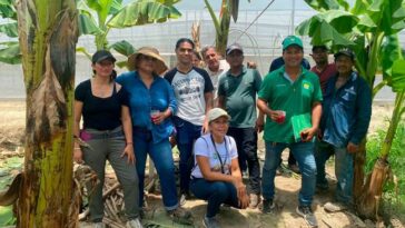 Con invernaderos escolares buscan fomentar la agricultura sostenible en el Magdalena