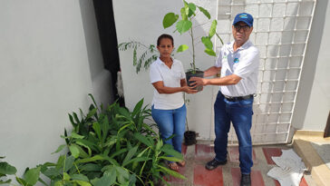 Corpamag entregó 95 árboles para campaña de reforestación en Fundación