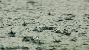 Corpocaldas establece lineamientos para afrontar la segunda temporada de menos lluvias en Caldas