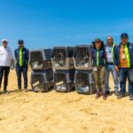 Corpoguajira y CAR liberan 18 flamencos rosados en el Distrito Regional de Manejo Integrado Musichi