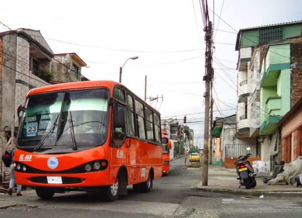 En Pereira habrá transporte gratuito para cumplir con el deber constitucional del voto  