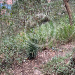 FOTOS.'Terrible hallazgos' Encuentran restos humanos en vía pública del barrio  La Violetas de Medellín