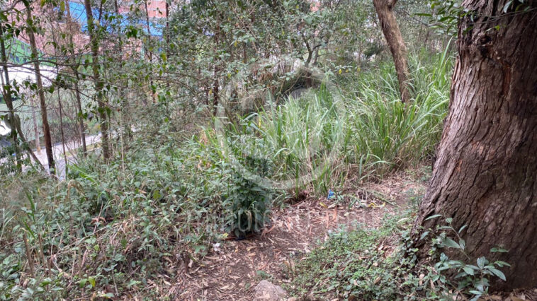 FOTOS.'Terrible hallazgos' Encuentran restos humanos en vía pública del barrio  La Violetas de Medellín