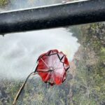 Fuerza Aérea ayudó a extinguir incendio forestal en zona rural entre Purificación y Prado