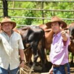 Ganaderos de Aguazul fortalecen producción bovina doble propósito con el apoyo de Ecopetrol y Agrosavia