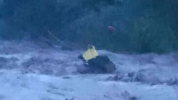 Hombre atrapado este jueves en el río Santo Domingo fue rescatado sano y salvo
