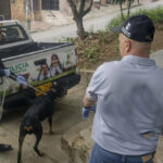 Hombre le habría causado la muerte a un perrito al dejarlo encerrado en un carro En la lucha contra el maltrato animal, un fiscal le imputó cargos a un hombre por causarle la muerte a una perra rottweiler y descuidar a dos más.