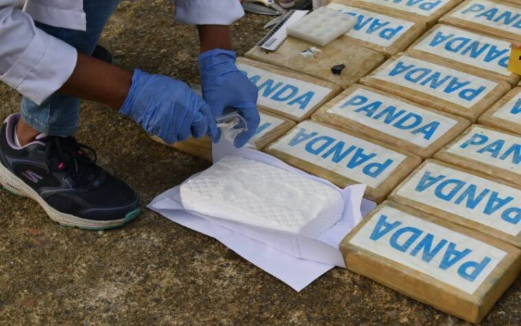 Incautada más de una tonelada de clorhidrato de cocaína en el área general de Pizarro, Bajo Baudó – Chocó.