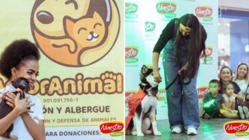 Inscribe a tú perrito en el concurso de disfraces en Montería