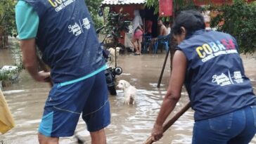 Lluvia causó desbordamiento de afluentes e inundación de más de 60 casas 