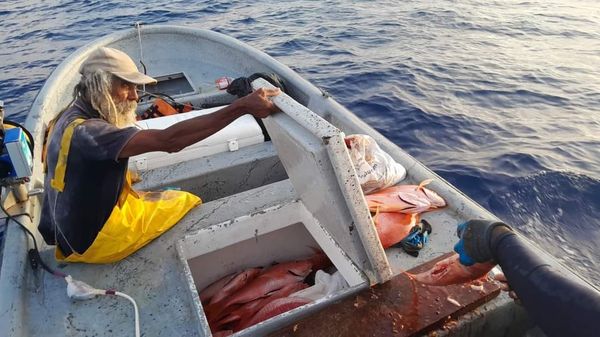 «Los pescadores artesanales del departamento podemos hacerle frente a la demanda sostenible y sustentable de nuestros recursos» 