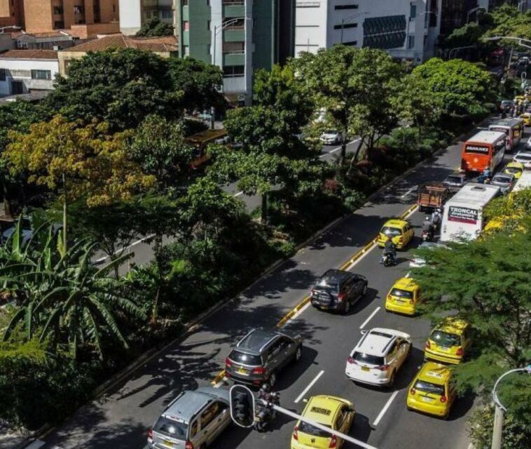 Medellín: así logró reducir el calor con un entramado de corredores verdes