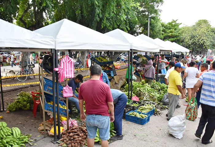 Mercados campesinos, alternativa económica para los agricultores