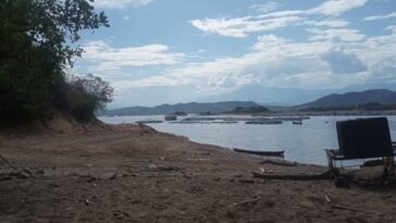 Producción piscícola en el Huila en riesgo ante la disminución del agua en el embalse de Betania.