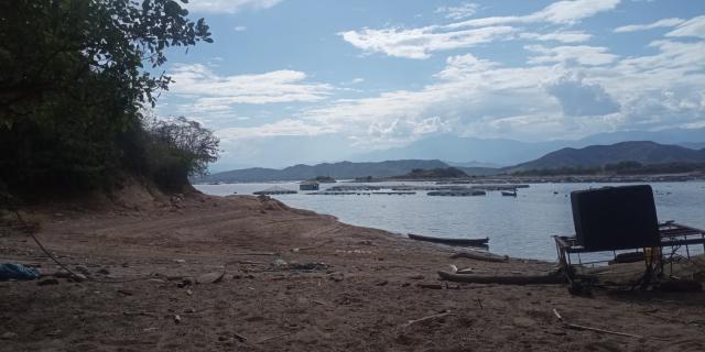 Producción piscícola en el Huila en riesgo ante la disminución del agua en el embalse de Betania.