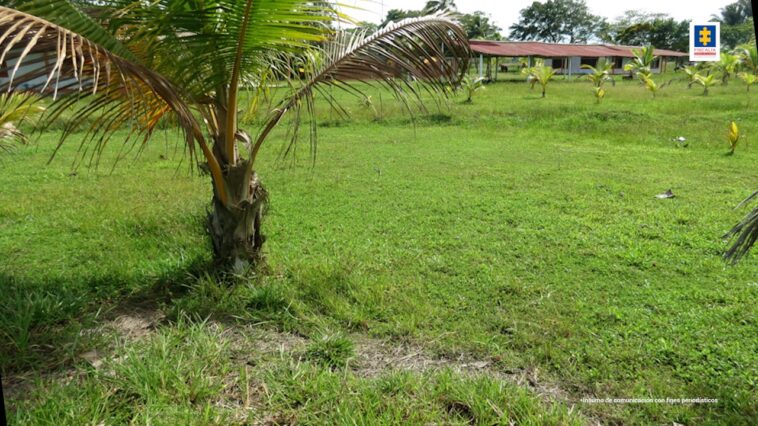 Hacienda La Virgen del Cobre y 30 predios, fueron ocupados por la Fiscalía en Necoclí