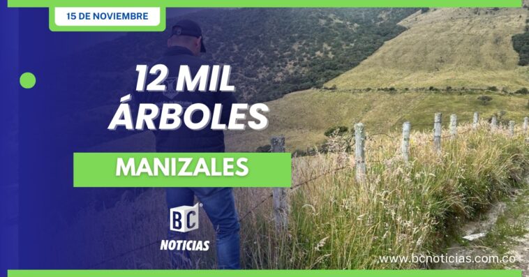 12 mil árboles han sido sembrados en la reserva de Río Blanco