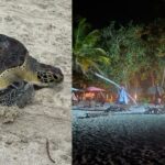 Autoridad ambiental ordena el retiro de luminarias en playas rurales de Santa Marta