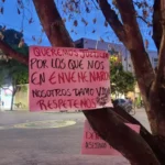 Autoridades denuncian envenenamiento de árboles en Neiva