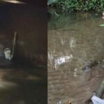 Contaminación por vertimientos de aguas residuales fue lo hallado en el acueducto del Comité de Cafeteros