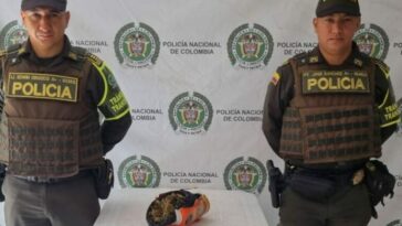 Descubren marihuana en encomienda de la ruta Medellín – Cereté