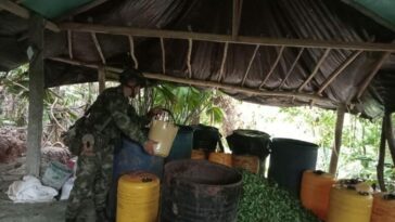 Ejército Nacional destruye laboratorio de pasta base de coca, en Puerto Libertador, Córdoba
