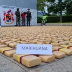 Ejército incautó millonario cargamento de marihuana en Huila