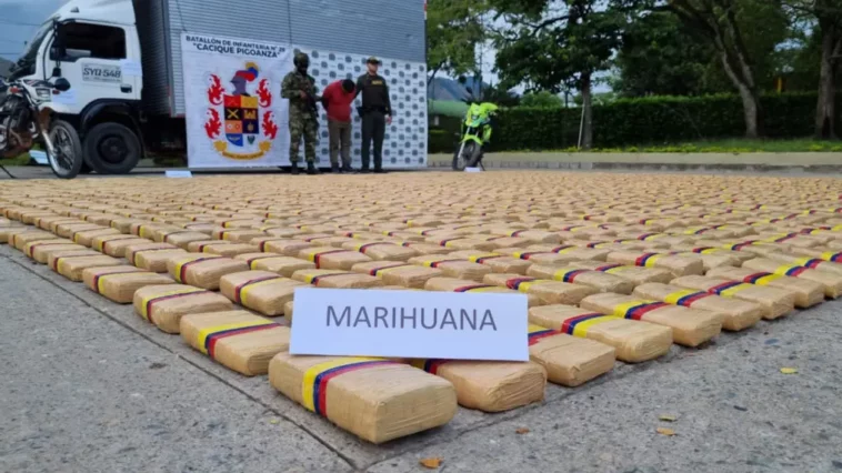 Ejército incautó millonario cargamento de marihuana en Huila