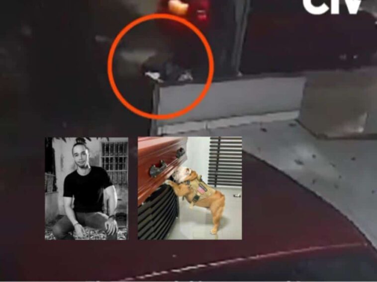 El perro llegó directo al ataúd, su compañero humano Jack fue asesinado por robarle el carro en Barranquilla