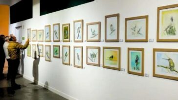En el Centro de Museos está la exposición «Aves de Colores: Un vuelo artístico por el mundo de las aves»