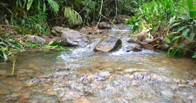 Habitantes de varias veredas de Circasia se quejan por la contaminación del servicio de acueducto del Comité de Cafeteros