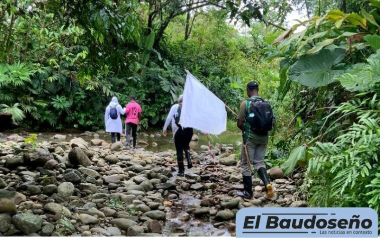 Huellas de esperanza: avanzan los esfuerzos en la búsqueda de personas desaparecidas en la subregión del San Juan.