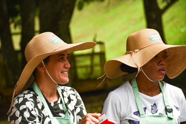 Huerta comunitaria en Sierra Chiquita