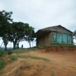 Masacre en limites de Huila y Caquetá deja cuatro personas muertas