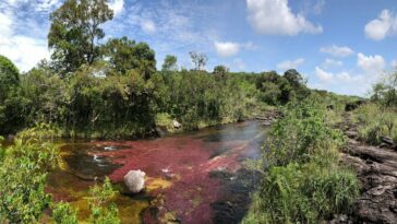 Miles de turistas visitaron Caño Cristales durante el 2023