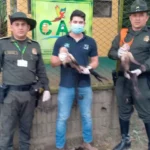 Monos atados en una vivienda fueron rescatados en Planeta Rica
