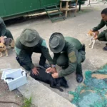 Policías en Vegalarga adoptaron tres perros criollos